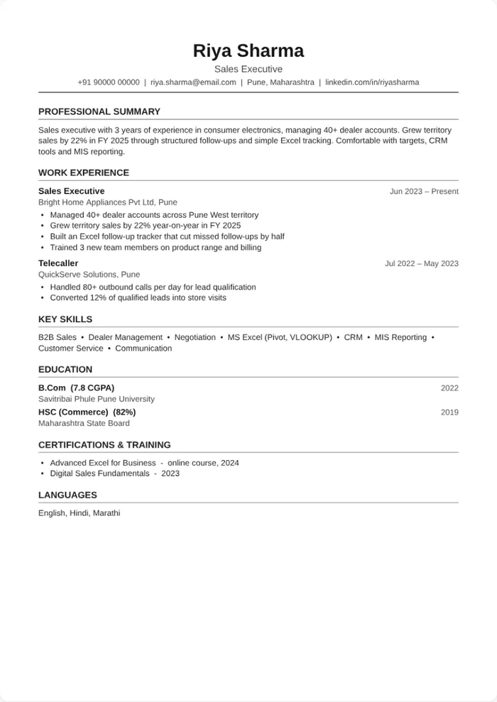 Classic resume design